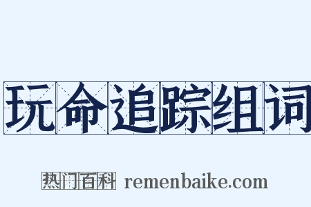 玩命追踪组词是什么意思的图片